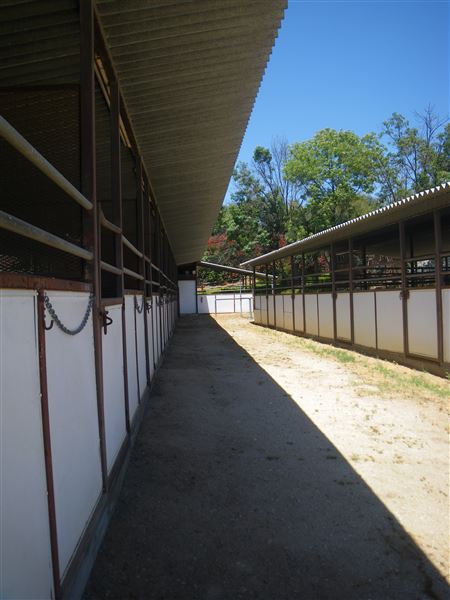Peck Farm (11/8/2023 - Credits: Peck)