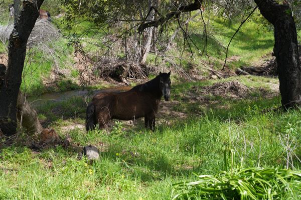 Stone Meadows Ranch (11/29/2023 - Credits: Photo Courtesy of Thomas Levin)