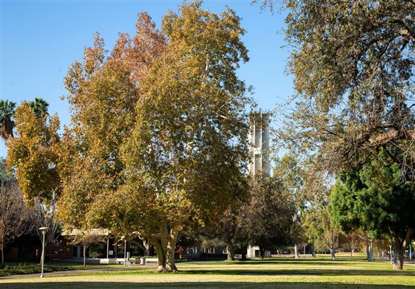 University of California, Riverside - UC Riverside (12/7/2023 - Credits: Photo Courtesy of University of California, Riverside)