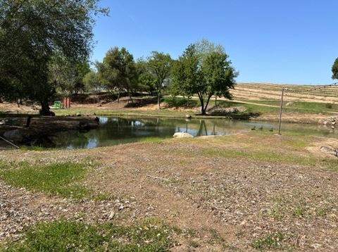 Olive Ranch (5/10/2022 - Credits: Placer County)