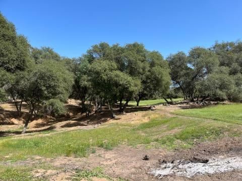 Olive Ranch (5/10/2022 - Credits: Placer County)