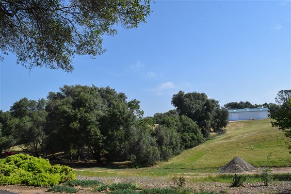 Olive Ranch (7/14/2022)