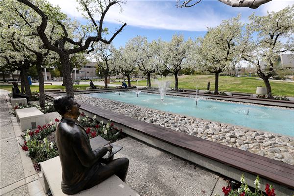 California State University, San Bernardino - CSU San Bernardino and Palm Desert Campus - CSUSB (1/3/2024 - Credits: Photo Courtesy of California State University, San Bernardino)