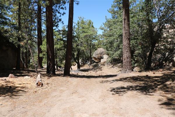 Camp Cedar Lake (1/18/2024 - Credits: Photo Courtesy of Big Bear Locations)
