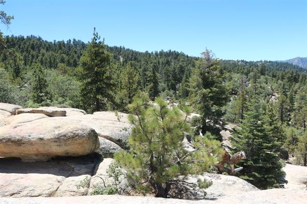 Camp Cedar Lake (1/18/2024 - Credits: Photo Courtesy of Big Bear Locations)