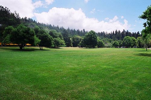 Roaring Camp Railroad (12/31/2003)
