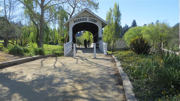 Roaring Camp Railroad (12/31/2003)