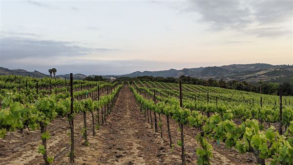 Randhawa Ranch (3/7/2024 - Credits: submitted by: Matthew Stuhl)