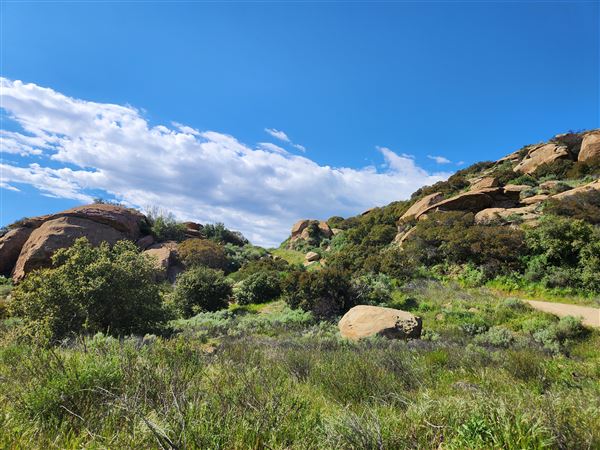 Rocky Peak Park (3/19/2024 - Credits: Rene Garcia)