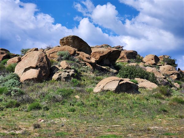 Rocky Peak Park (3/19/2024 - Credits: Rene Garcia)