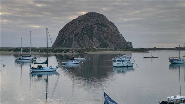 Morro Bay Harbor (4/24/2024 - Credits: Brandy Davis)