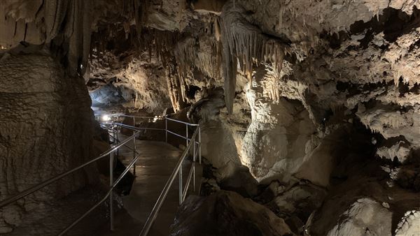 20359 Shasta Caverns Road (5/5/2024 - Credits: Brandy Davis)