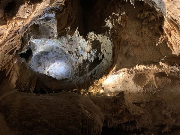 20359 Shasta Caverns Road (5/5/2024 - Credits: Brandy Davis)