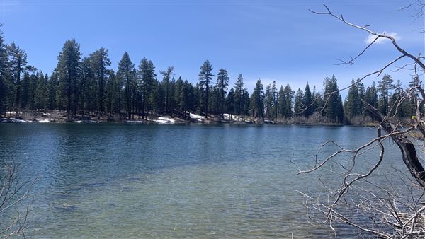 Manzanita Lake (5/3/2024 - Credits: Brandy Davis)