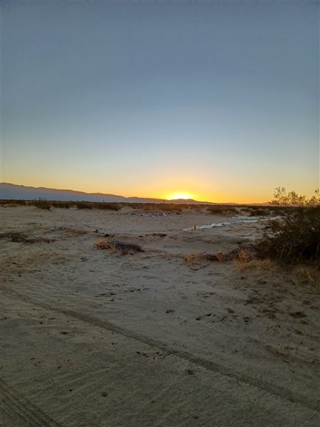 Desert Bliss (6/17/2023 - Credits: Ora Beth Nance)