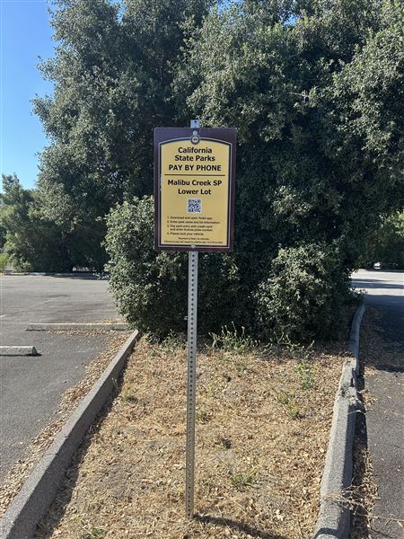 Malibu Creek State Park (SP) - Lower Parking Lot (6/26/2024 - Credits: Brandy Davis)