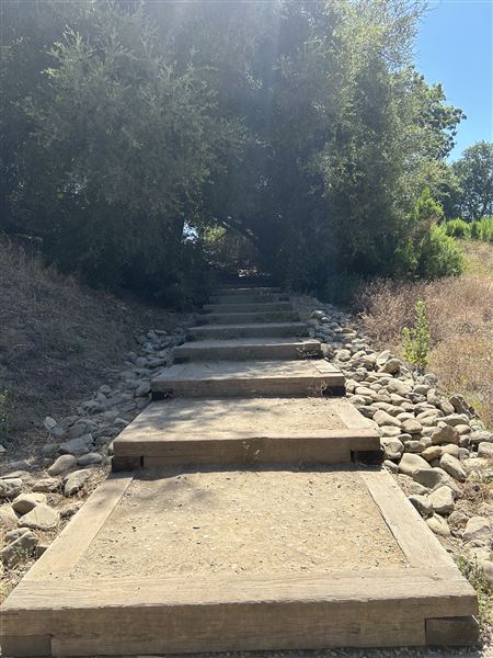 Malibu Creek State Park (SP) - Trail Head and Creek (6/26/2024 - Credits: Brandy Davis)
