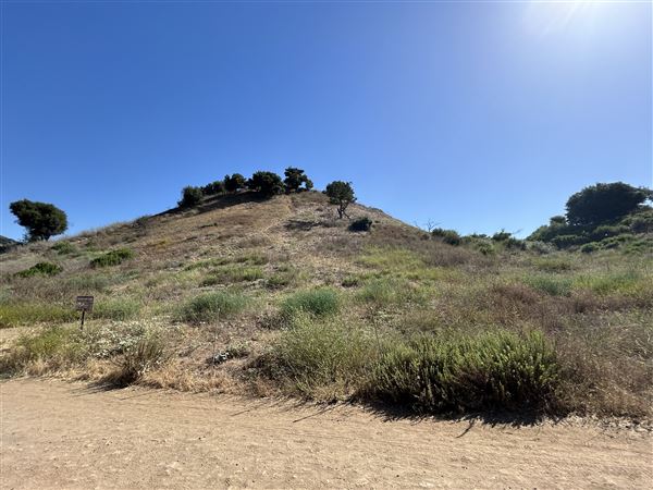 Malibu Creek State Park (SP) - Crags Road (6/26/2024 - Credits: Brandy Davis)