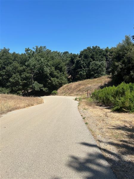 Malibu Creek State Park (SP) - Crags Road (6/26/2024 - Credits: Brandy Davis)