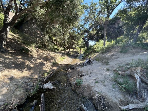 Malibu Creek State Park (SP) - Scenic Views from trail (6/26/2024 - Credits: Brandy Davis)