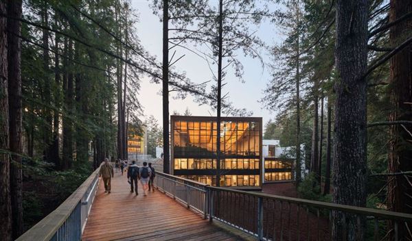 University of California, Santa Cruz - UCSC (7/10/2024 - Credits: Jason O'Rear)