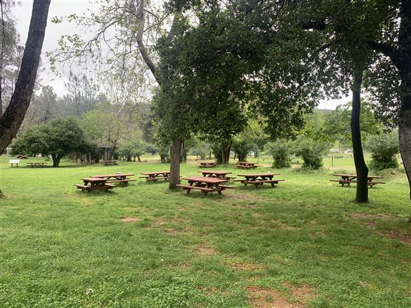 Shasta State Historic Park (SHP) (5/4/2024 - Credits: Brandy Davis)