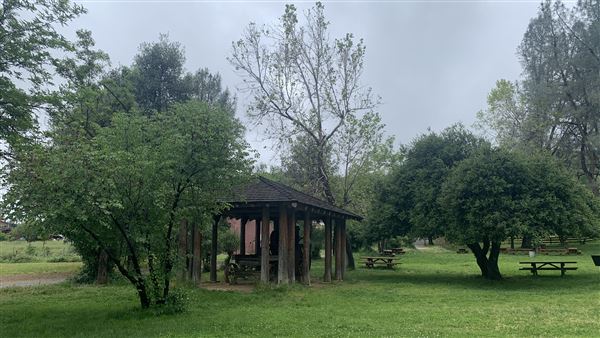 Shasta State Historic Park (SHP) (5/4/2024 - Credits: Brandy Davis)