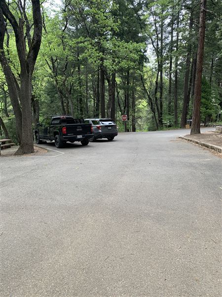 Dunsmuir City Park Sacramento River (5/4/2024 - Credits: Brandy Davis)