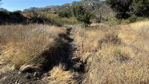 Malibu Creek State Park (SP) - M*A*S*H* Site Location (7/31/2024 - Credits: Brandy Davis)