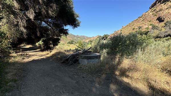 Malibu Creek State Park (SP) - M*A*S*H* Site Location (7/31/2024 - Credits: Brandy Davis)
