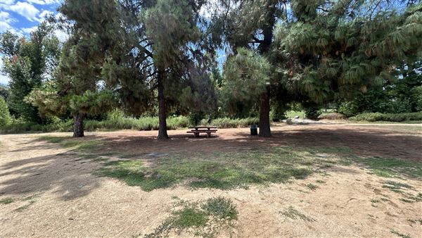 Sepulveda Basin Wildlife Preserve / Woodley Park (8/2/2024 - Credits: Brandy Davis)