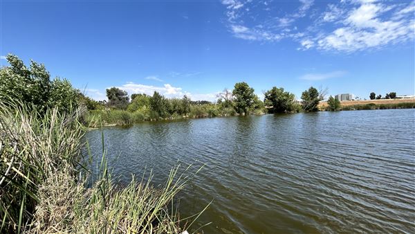 Sepulveda Basin Wildlife Preserve / Woodley Park (8/2/2024 - Credits: Brandy Davis)