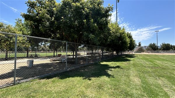 Sepulveda Basin Sports Complex (8/2/2024 - Credits: Brandy Davis)