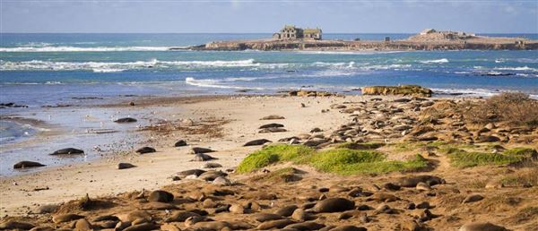 Año  Nuevo State Park (SP) (8/5/2024 - Credits: Coastside State Parks Association)