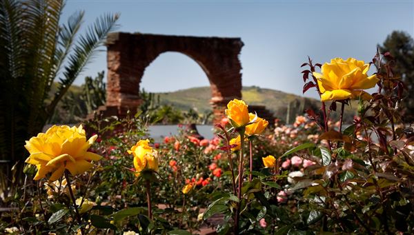 Mission San Luis Rey de Francia (8/12/2024 - Credits: Mission San Luis Rey)