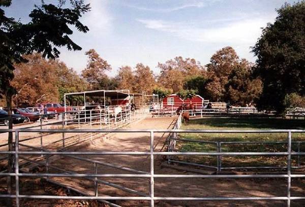 Irvine Regional Park (12/31/2003)