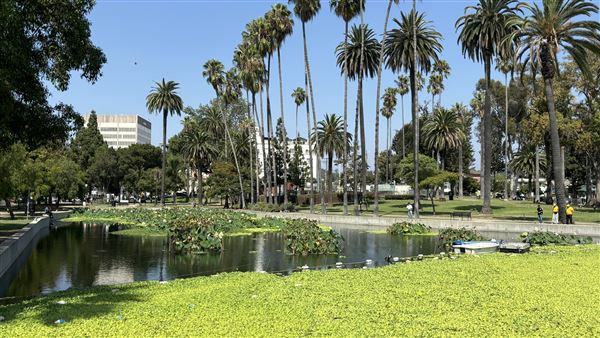 Echo Park Lake Recreation Center (9/17/2024 - Credits: Brandy Davis)