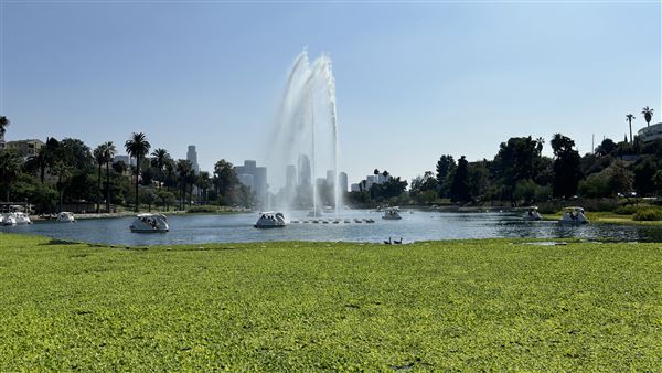 Echo Park Lake Recreation Center (9/17/2024 - Credits: Brandy Davis)