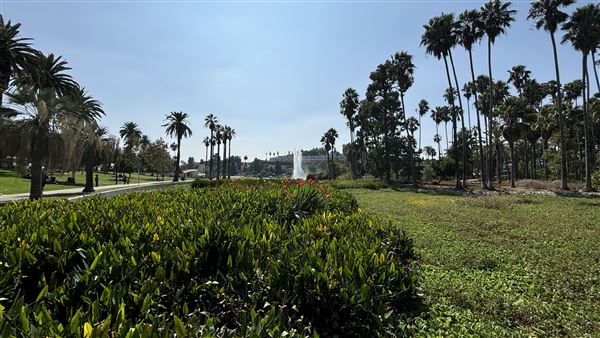 Echo Park Lake Recreation Center (9/17/2024 - Credits: Brandy Davis)