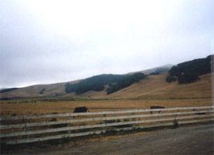 J G Angus Ranch (12/31/2003)