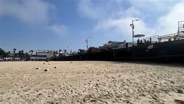 Santa Monica State Beach (SB) / Pacific Park Santa Monica Pier (10/2/2024 - Credits: Brandy Davis)