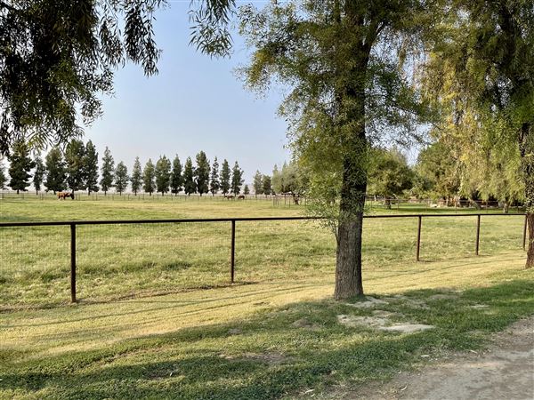 Stockdale Ranch (10/11/2024 - Credits: Stockdale Ranch)
