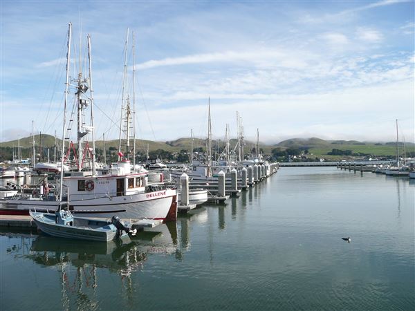 Spud Point Marina (10/29/2024 - Credits: Sonoma County)