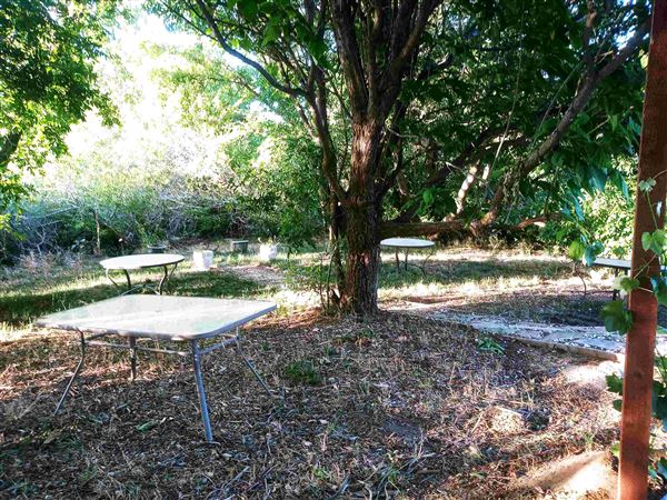Andrade Grove Family Farm (12/2/2024 - Credits: submitted by: Shauna Tye)