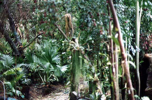 San Diego Botanic Garden (12/31/2003)