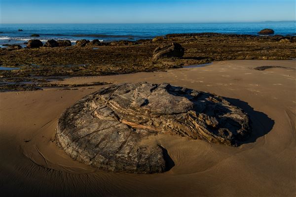 Crystal Cove State Park (SP) (3/23/2022 - Credits: Brian Baer)