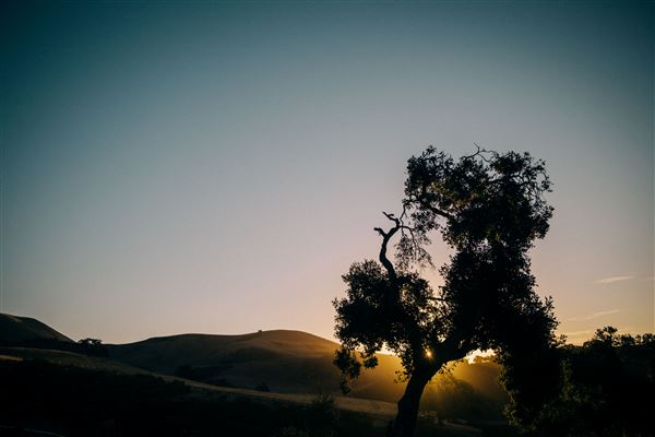 Holman Ranch (10/26/2021 - Credits: Wine Club & Marketing Manager)