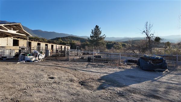 Twin Pines Ranch (1/13/2025)