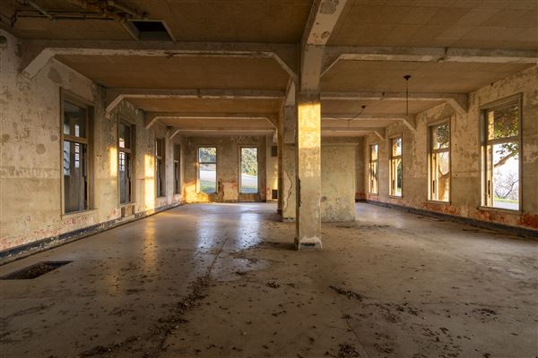 Angel Island State Park (SP) (12/10/2024 - Credits: Brian Baer)