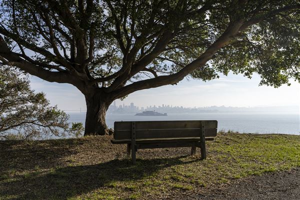 Angel Island State Park (SP) (12/10/2024 - Credits: Brian Baer)